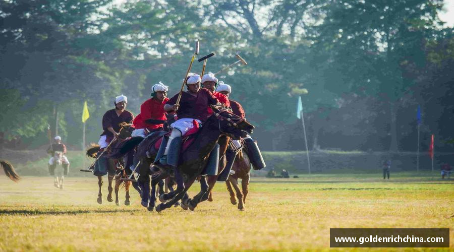 汗水浇灌梦想，坚持成就辉煌